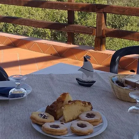 Oda ve Kahvaltı Su Terrabinu