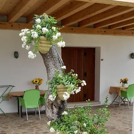 Su Terrabinu Bed and breakfast Porto Rotondo